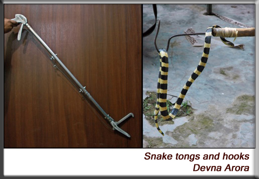 Devna Arora - Handling stick for snakes